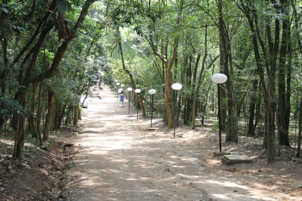 parques-urbanos-de-sp-tem-programacao-especial-de-educacao-ambiental-no-feriado-de-7-de-setembro