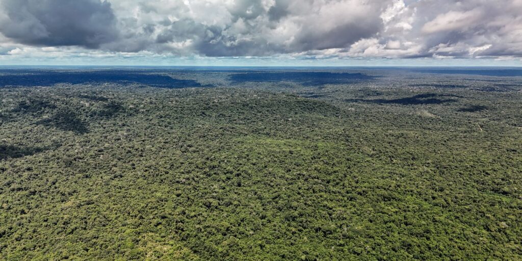 fazenda-autoriza-credito-de-us$-1-bilhao-do-bid-para-eco-invest-brasil
