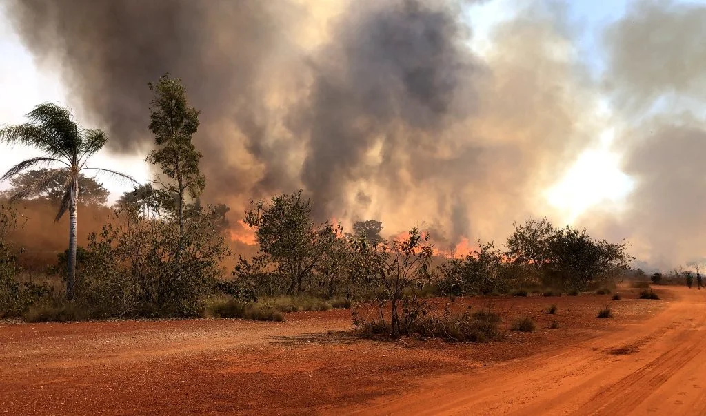 veja-como-abrir-aceiros-e-barrar-o-avanco-de-incendios-na-propriedade-rural