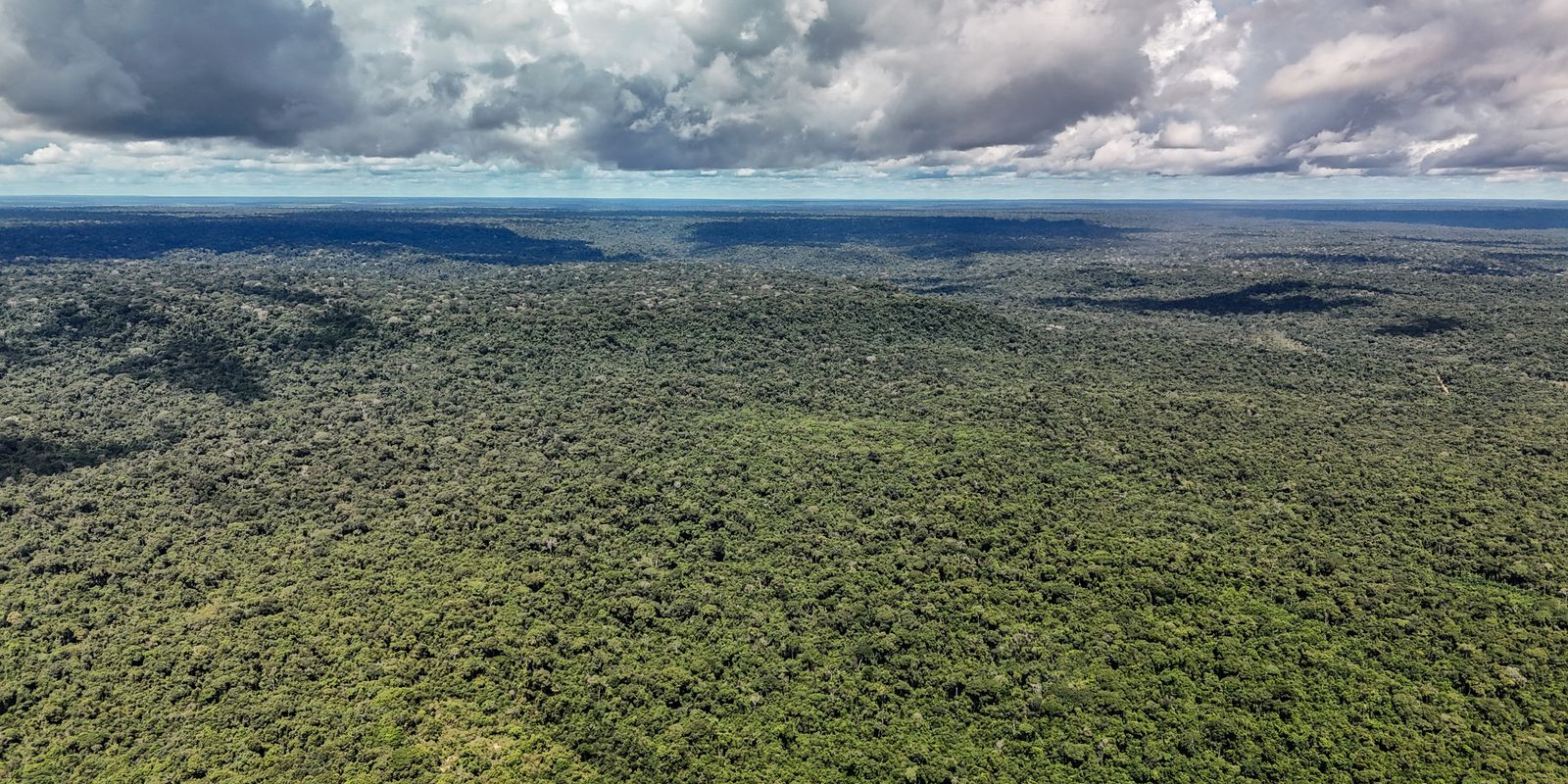 devastacao-na-amazonia-pode-quebrar-maior-“maquina-de-chuva”-do-mundo