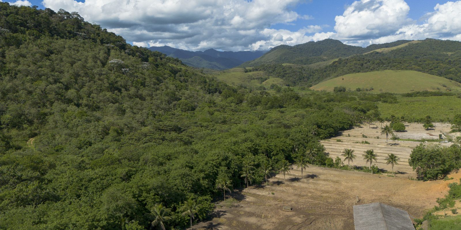 agricultura-ganha-11-milhoes-de-hectares-em-41-anos-na-mata-atlantica