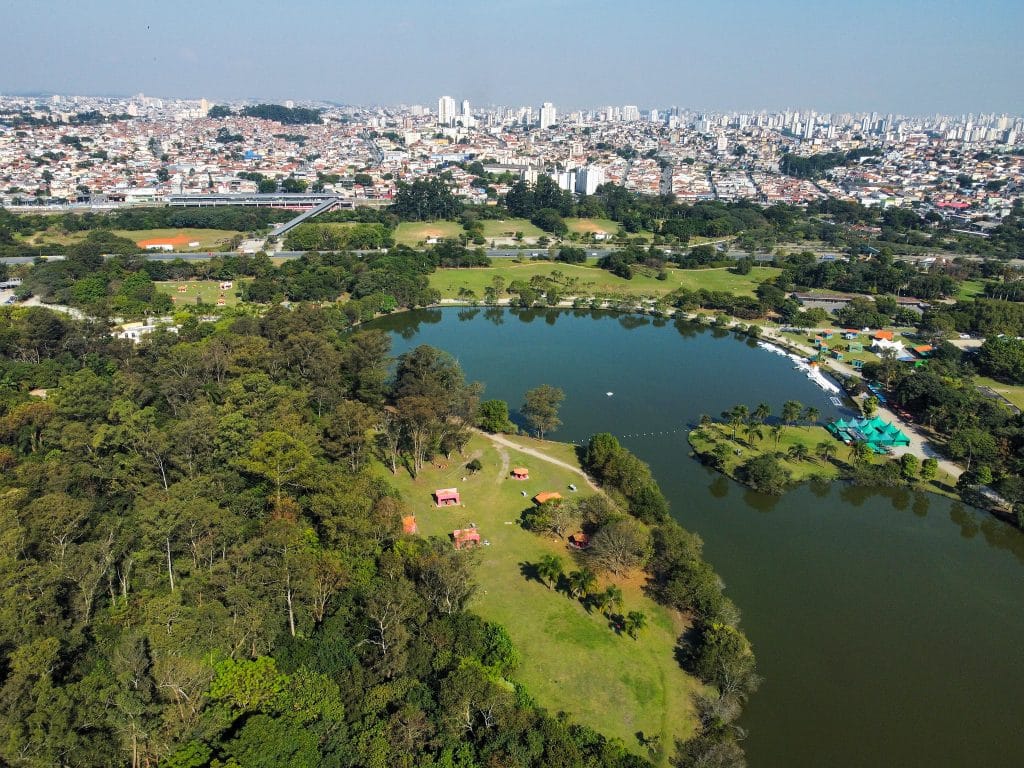 dia-das-criancas:-parques-urbanos-de-sp-transformam-natureza-em-cenario-de-brincadeiras-e-descobertas