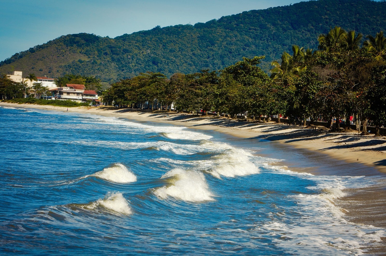 vai-a-praia-no-feriadao?-saiba-por-que-e-melhor-esperar-24-horas-apos-chuvas-fortes-para-entrar-no-mar