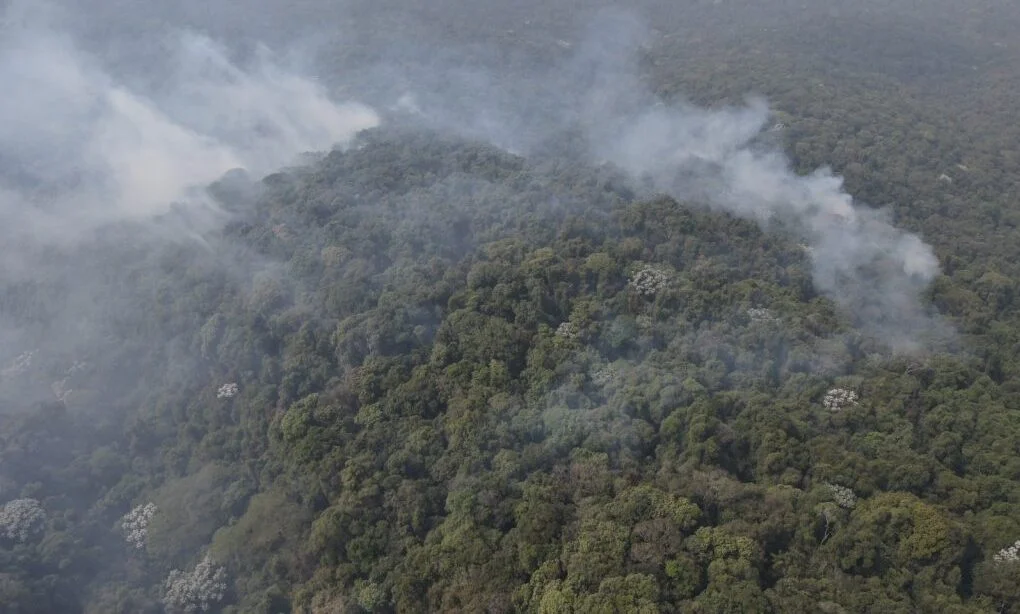 sp-sem-fogo:-estado-registra-menor-numero-de-focos-de-calor-para-setembro-desde-1998