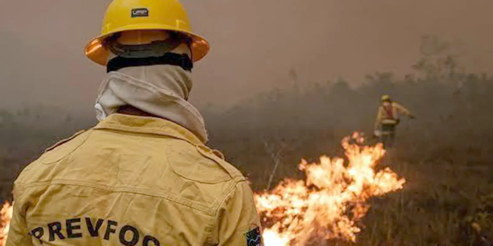 focos-de-incendio-no-amazonas-diminuem-apos-acao-de-forca-tarefa