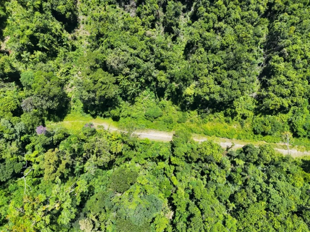 pm-ambiental-usa-drones-e-satelites-para-combater-queimadas-em-sp