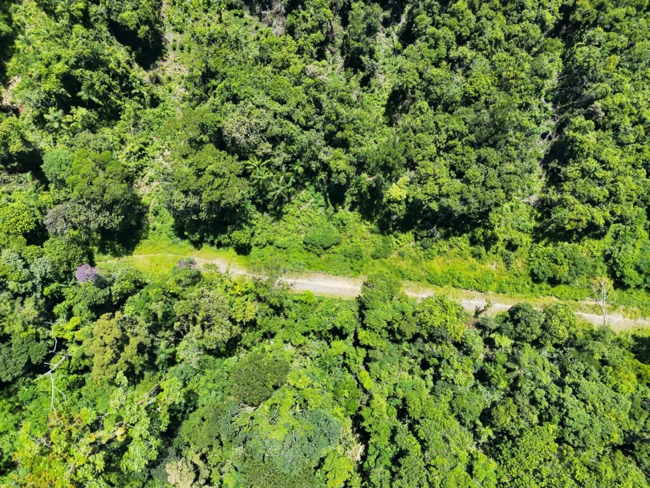 pm-ambiental-usa-drones-e-satelites-para-combater-queimadas-em-sp