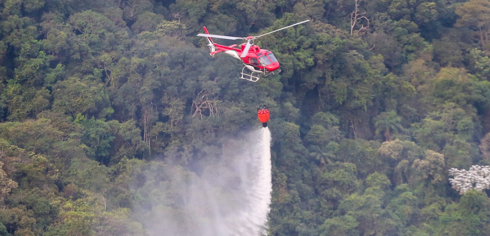 conheca-o-plano-estadual-de-resiliencia-as-mudancas-climaticas-do-governo-de-sao-paulo-que-preve-181-acoes-nos-municipios