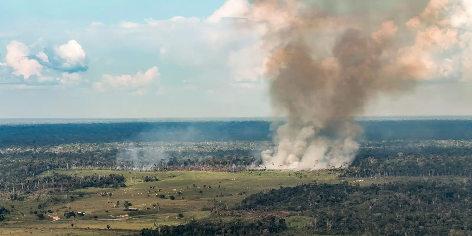 incendios-avancam-sobre-o-oeste-do-para-e-deixam-ar-insalubre